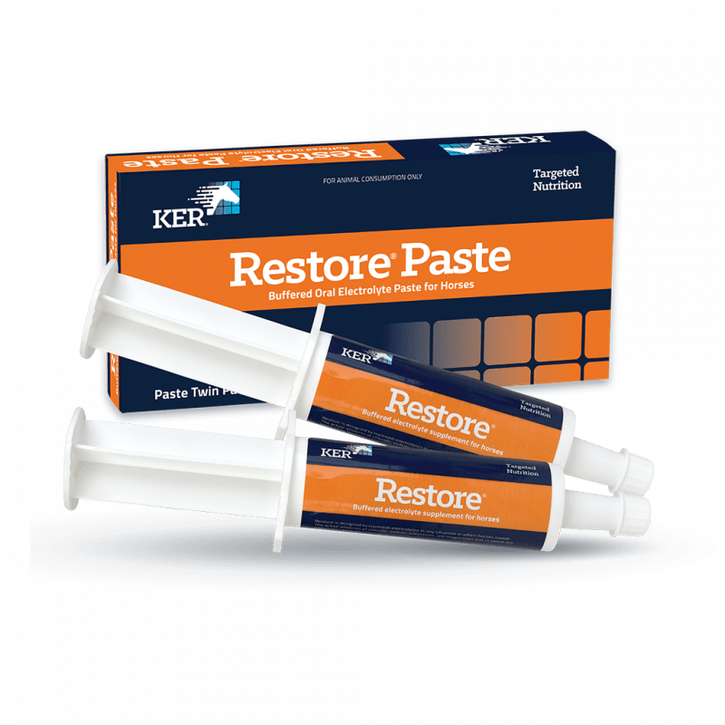 Restore Paste Product Image