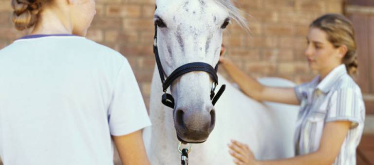 Two girls with a horse
