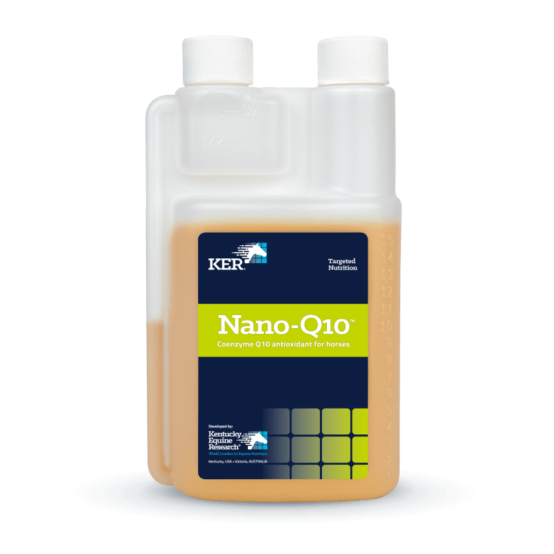 Nano-Q10 antioxidant for horses