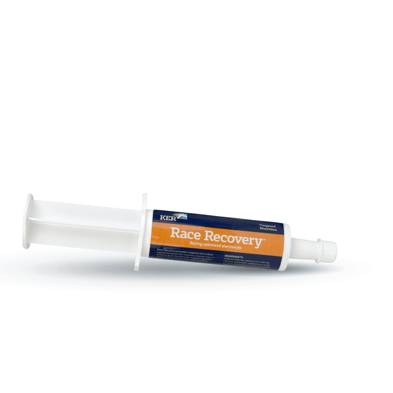 Race Recovery paste electrolyte for racehorses