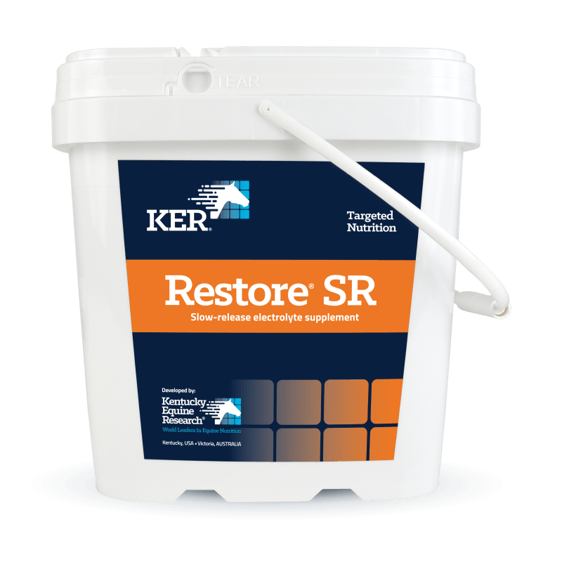 Restore SR electrolyte for horses