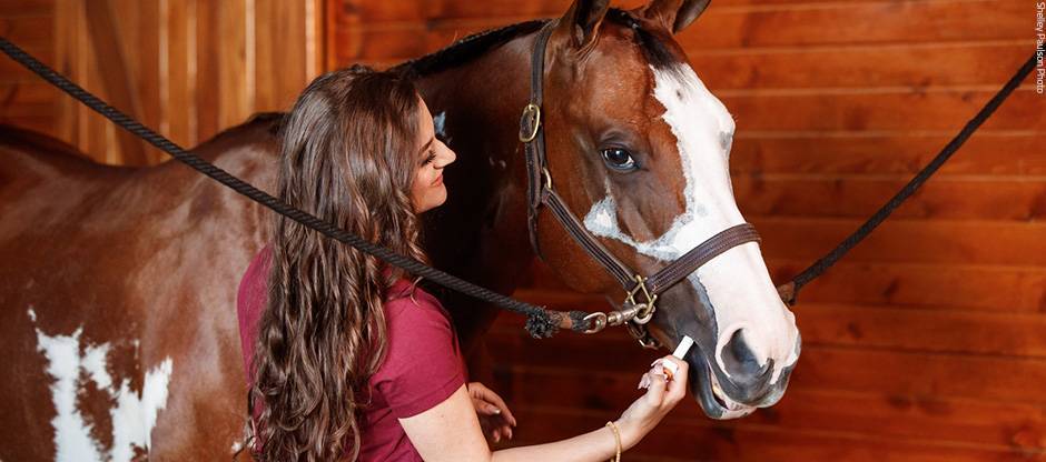 Giving paste medication to horse