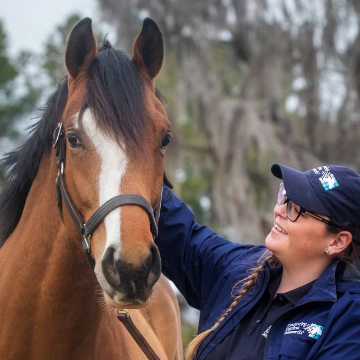 KER racehorse Decker San
