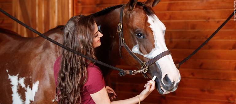 Giving paste medication to horse