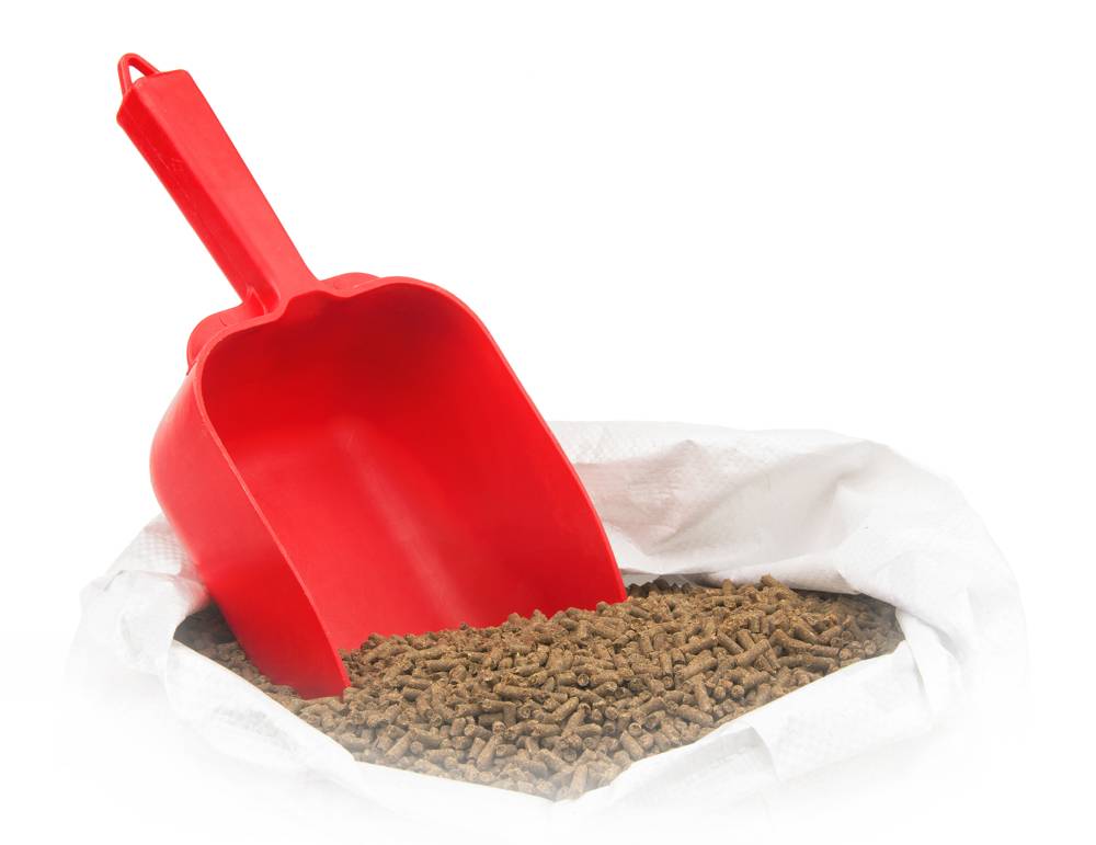 Feed Scoop