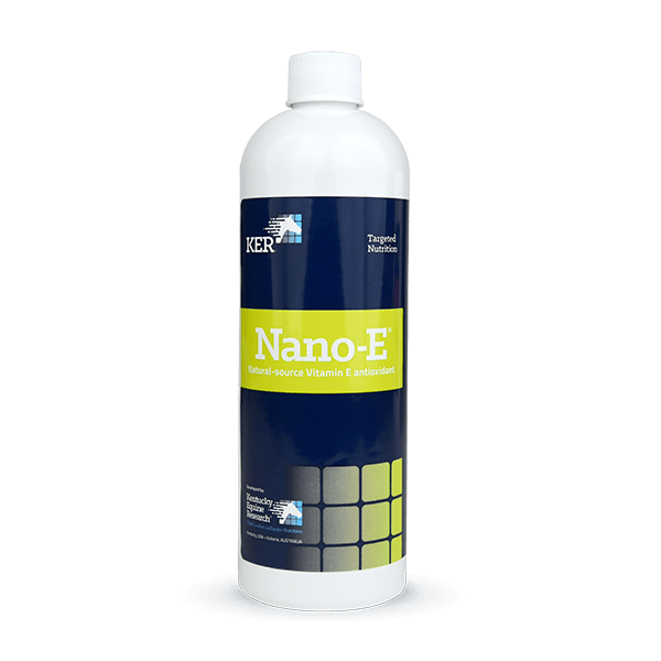 Nano-E